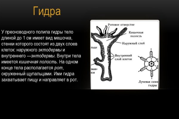 Ссылка официальный сайт кракен