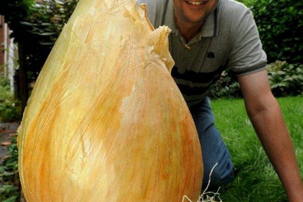 Актуальные ссылки на кракен тор