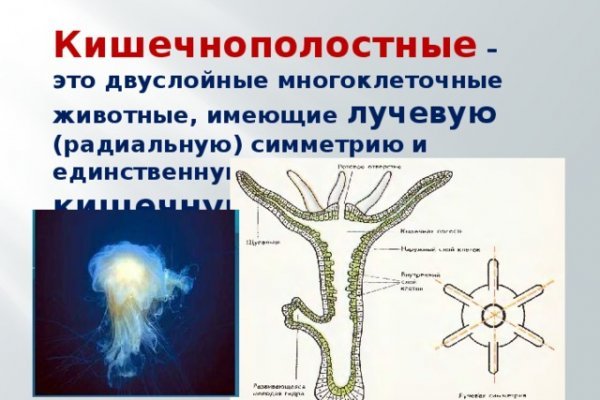 Кракен вход официальный сайт