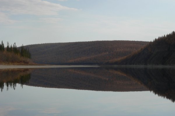 Vk14 at кракен